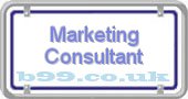 marketing-consultant.b99.co.uk